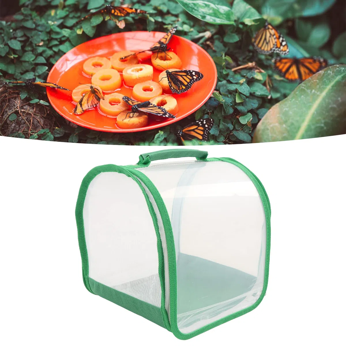 Gabbia Farfalla Monarca, Habitat Insetti Trasparente con Maniglia Portatile, Recinzione Pop-up Pieghevole per Uso Interno ed Esterno, Dimensioni 7.9x7.9x8.9 Pollici
