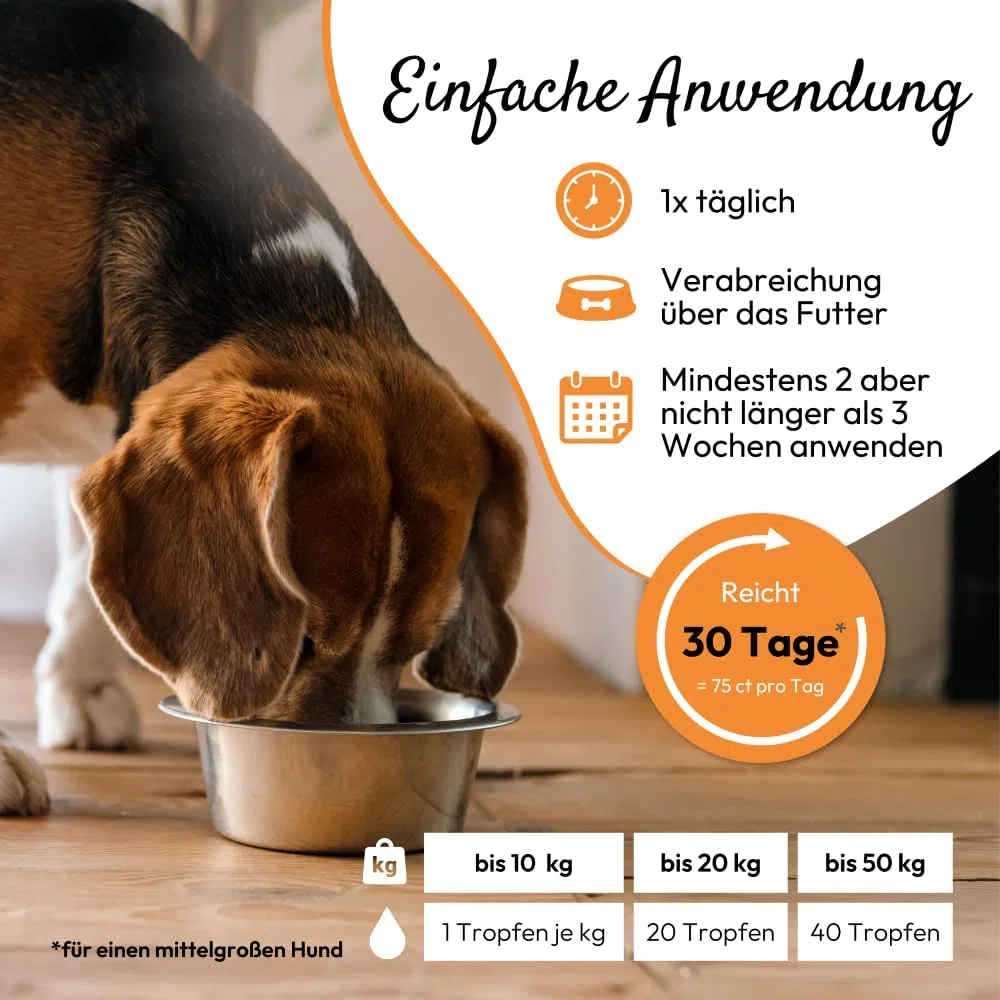PHA Verme Gocce per Cane e Gatto – Trattamento naturale di vermi per Gatto e Cane, Agente per vermi secondario, Alternativa alle infestazioni da vermi, con vermi, achillea, timo, gocce da 50 ml