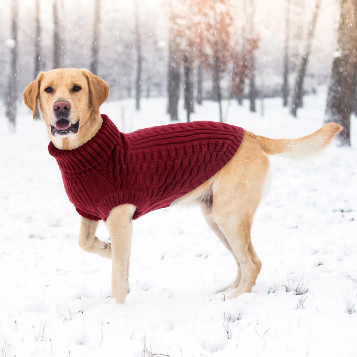 CITÉTOILE Maglione in Lana per Cani e Gatti - Giacca Calda e Morbida Cappotto Vestiti per Animali Invernali - Adatto per Cane Piccoli, Medi e Grandi, Rosso, M