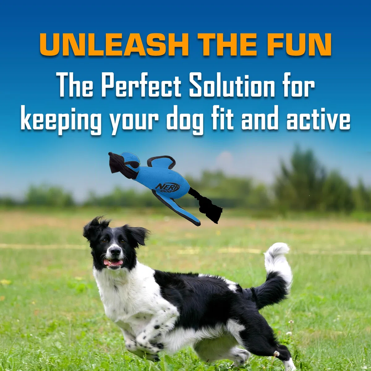 Nerf Dog Grande anatra lancio in nylon con design interattivo, blu (3473), per tutte le razze
