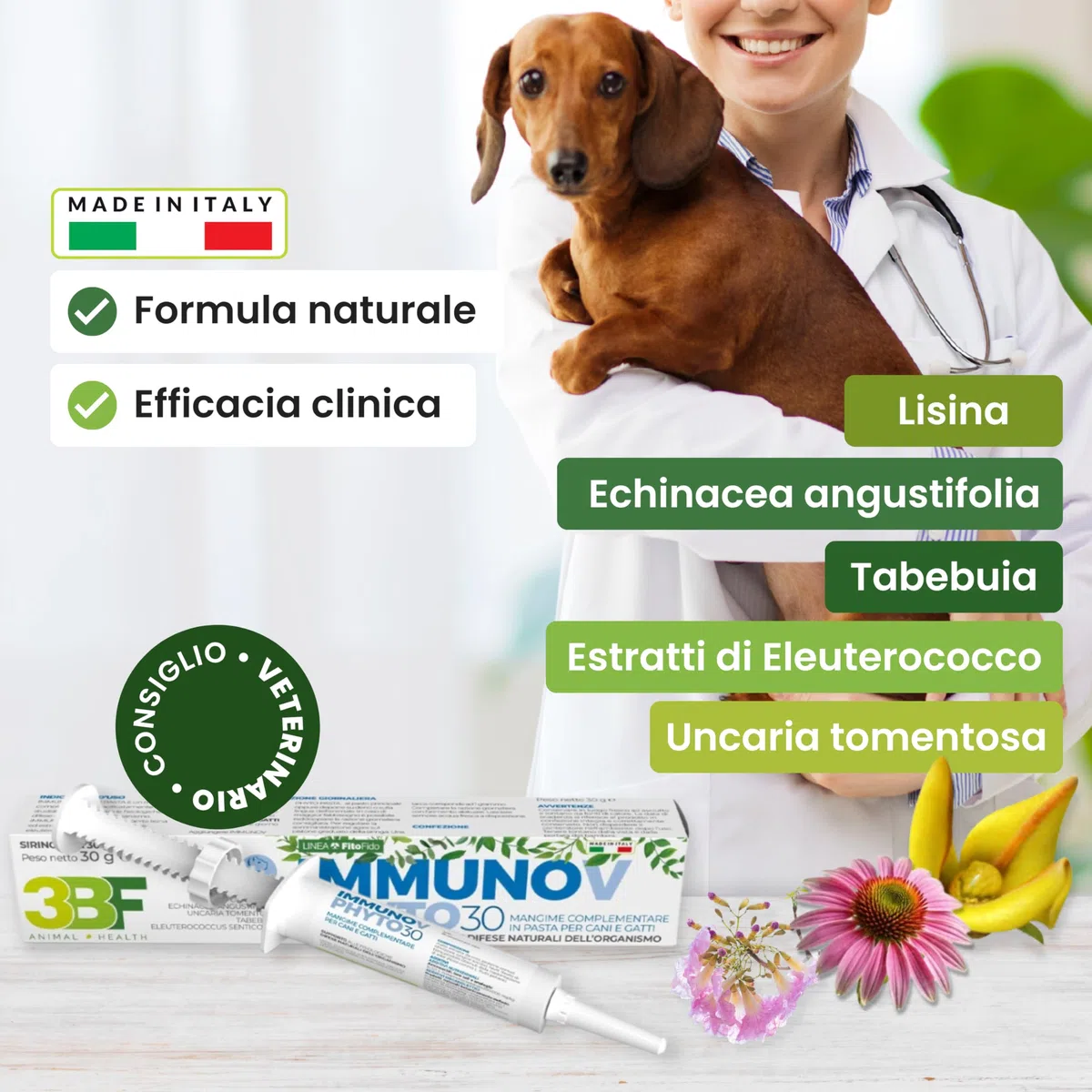 Trebifarma Immunov Phyto Pasta per Cani e Gatti – Supporto Naturale alle Difese Immunitarie – Mangime Complementare per il Sistema Immunitario – Siringa Graduata Multidose da 30g