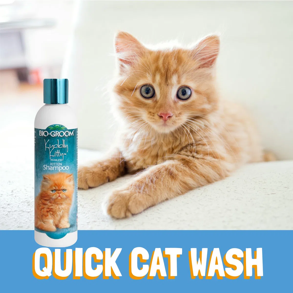 Bio-Groom CBB26008 Kuddly Kitty Shampoo For Cats And Kittens 240ml
