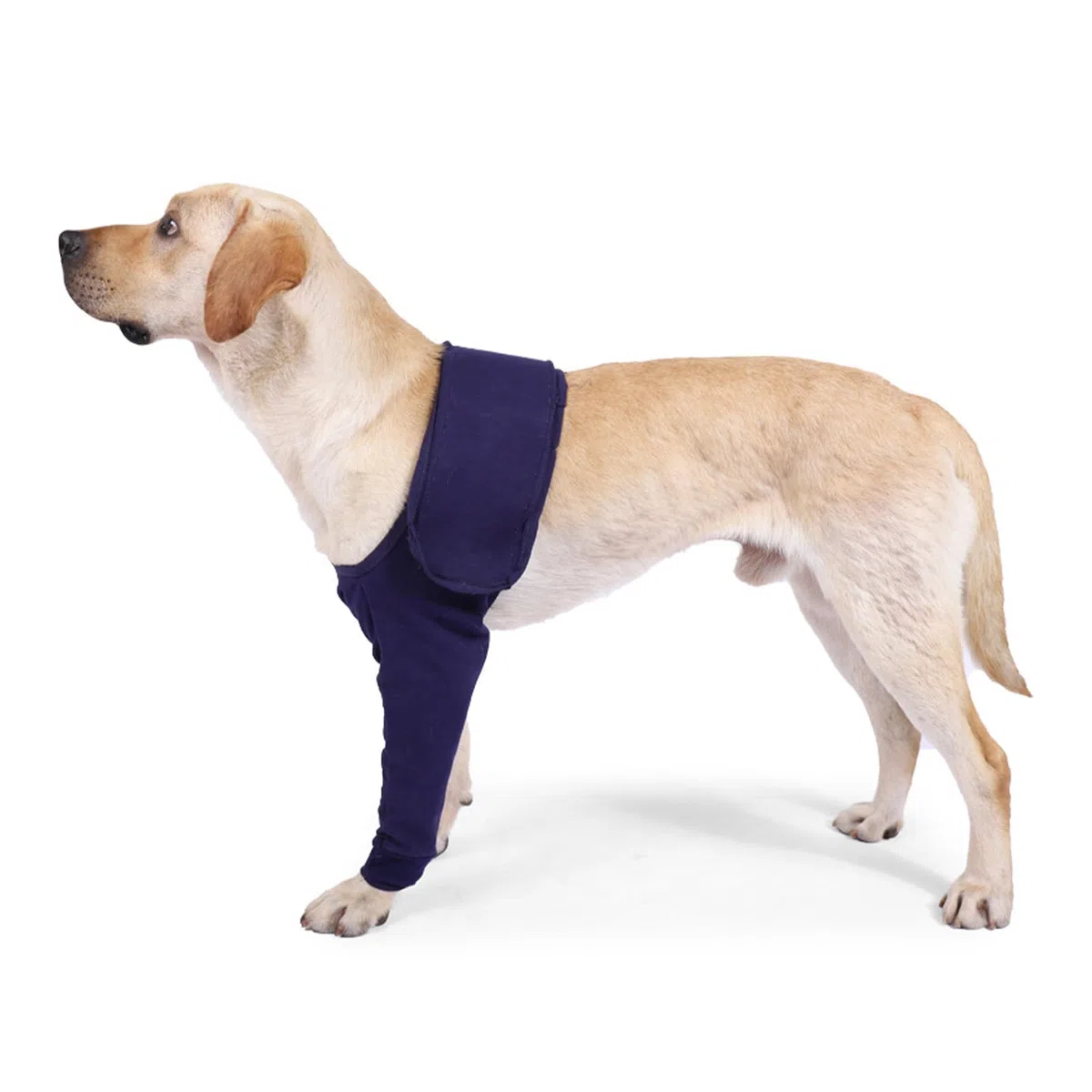 Joyan Tuta Postoperatoria per Cane, Ginocchiera e Fascia Elastica per Gamba e Gomito, Supporto Ferite Addominali, Anti-Leccatura, Recovery Sleeve Cane, Protettore Cutaneo, Blu (L)