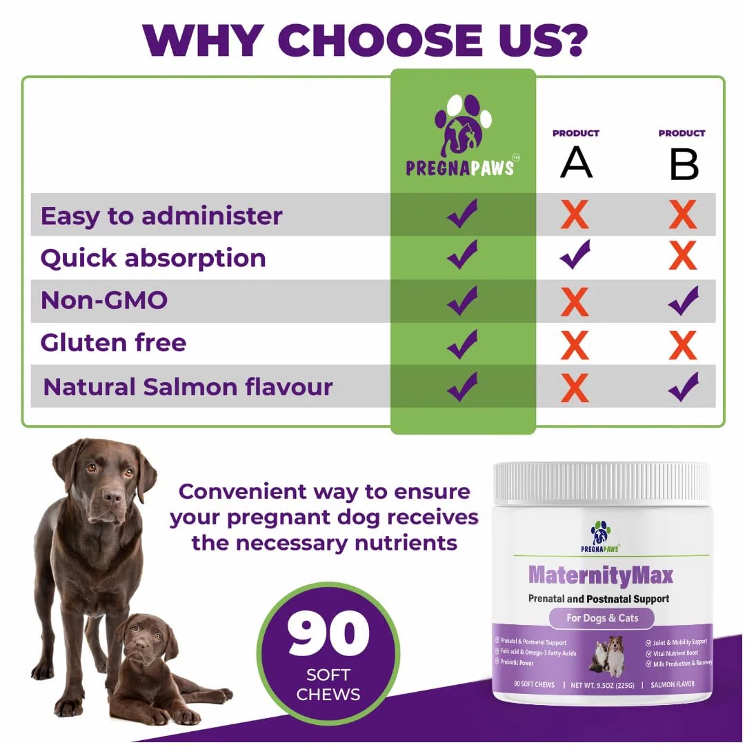 Vitamine prenatali e postnatale per cani e gatti – Integratore con acido folico, biotina, CoQ10, probiotici, glucosamina e vitamine essenziali – Supporta gravidanza, allattamento e recupero – 90 ct