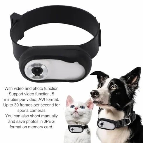 Telecamera per Collare per Animali HD 1080P, Display LCD da 0,96 Pollici, Video di 5 Minuti, per Cani Gatti, Materiale ABS