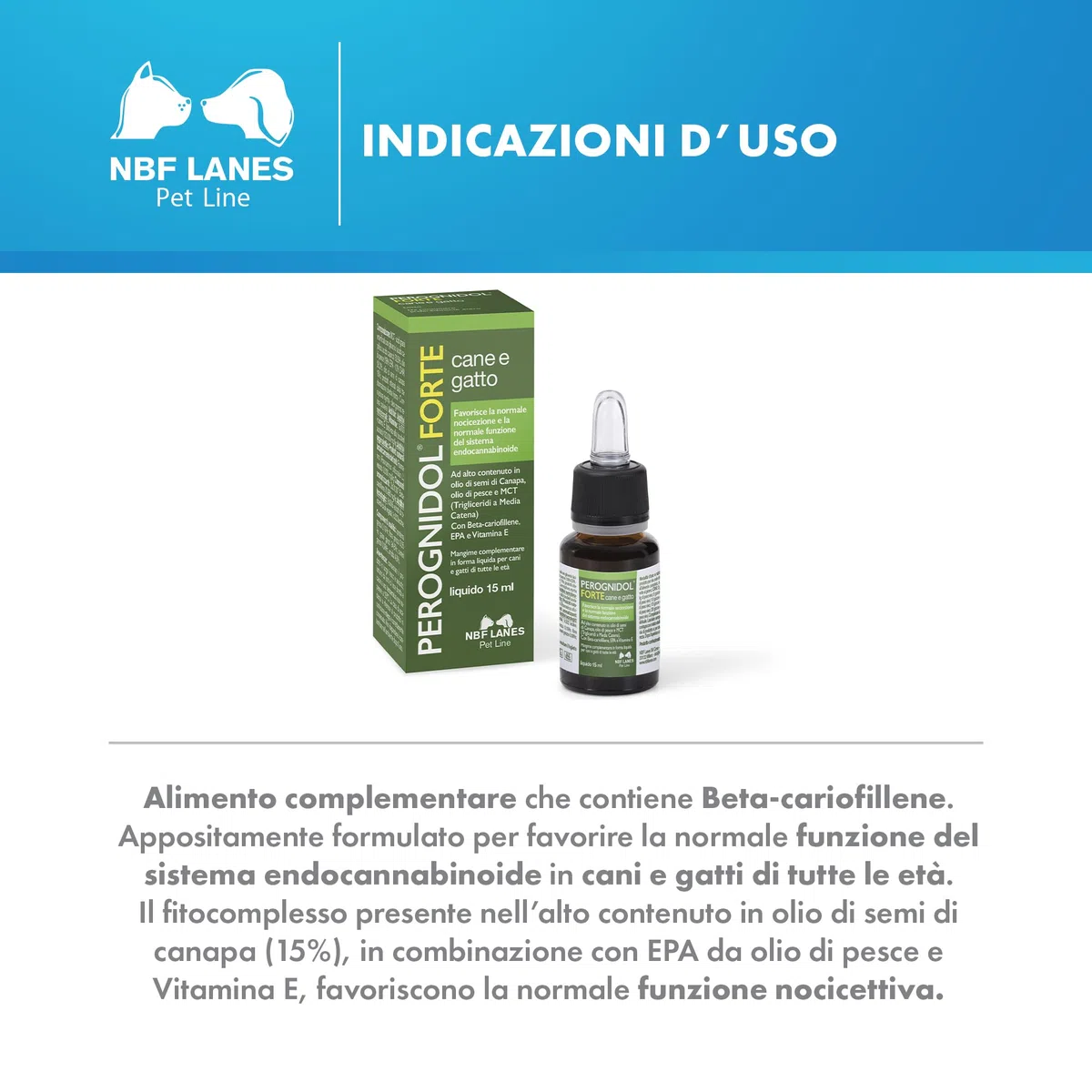 NBF Lanes | Perognidol FORTE Cane e Gatto, Gocce 15 ml, Favorisce la Normale Nocicezione e la Normale Funzione del Sistema Endocannabinoide
