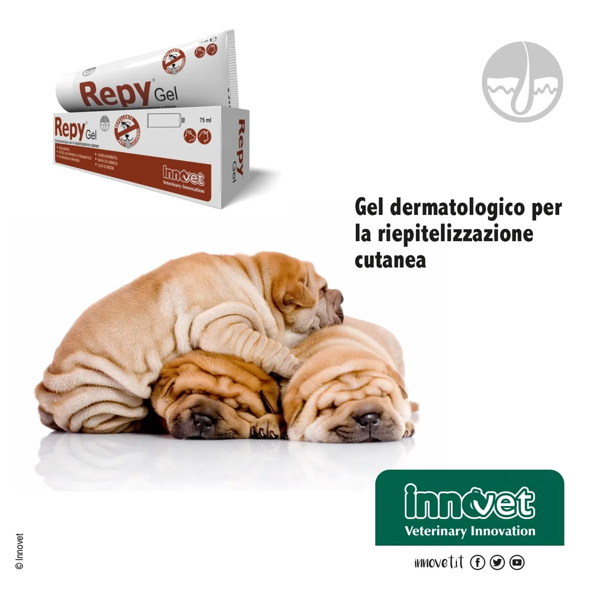 Innovet Repy Gel - Gel Dermatologico per la Riepitelizzazione Cutanea in Caso di ferite – per Cani e Gatti. Nuova Formula ad Azione Repellente ed Anti-Leccamento – Confezione Tubo 75ml