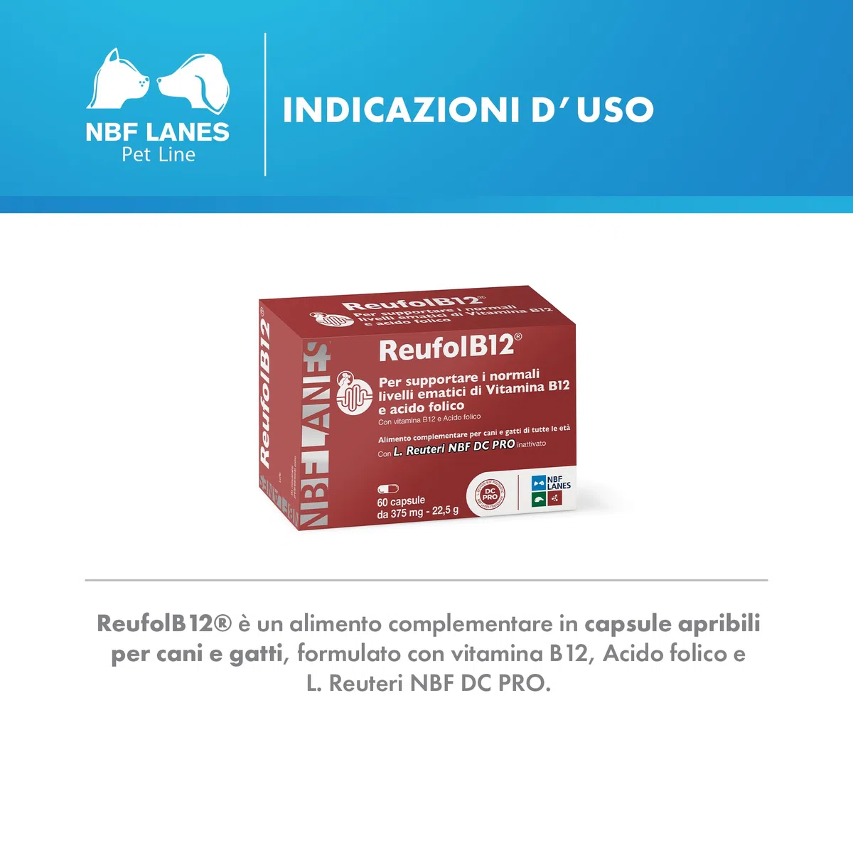 NBF LANES | ReufolB12 Cane e Gatto, 60 Capsule Appetibili, Supporto Vitamina B12 e Acido Folico Intestinale