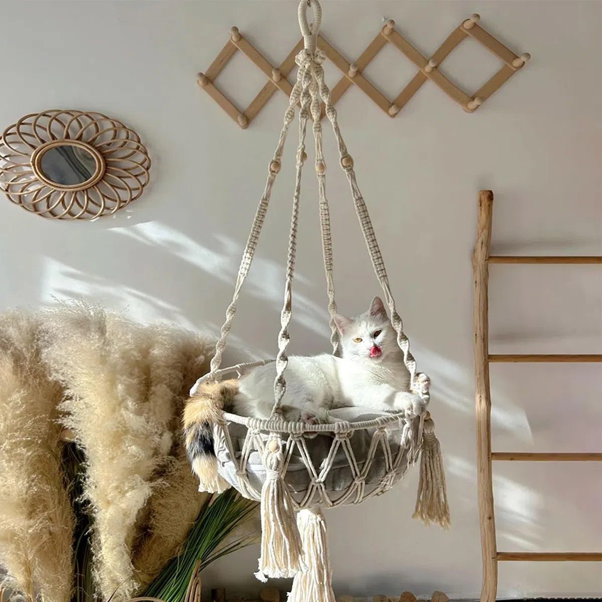 Amaca per gatti macramè, intrecciata, morbida struttura a corda, cuccia per gatti appesa a parete, altalena per gatti fatta a mano, cestino decorativo in stile bohémien, per piccoli animali domestici