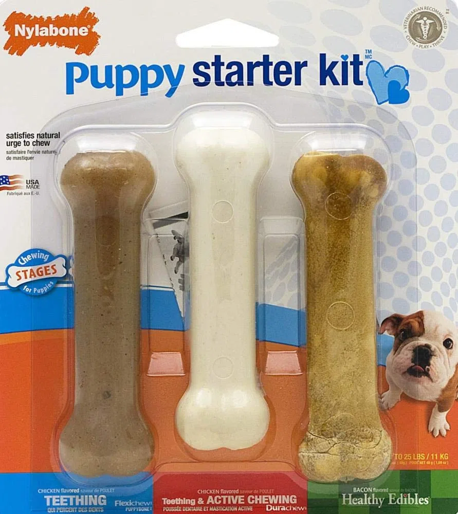 Nylabone Puppy starter kit