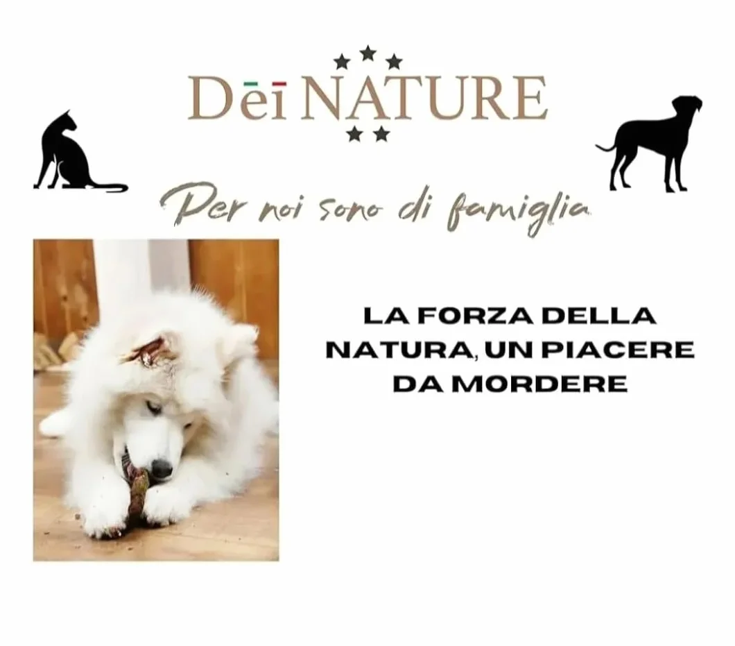 Polmoni di Manzo Essiccati per Cani, 1 kg, Snack Naturale Light ad alto contenuto proteico adatto Dieta BARF