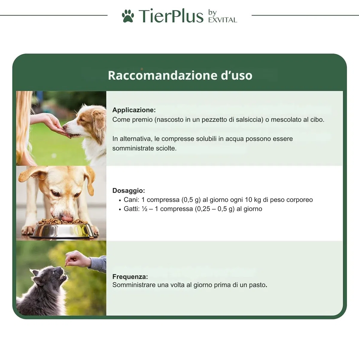 TierPlus Complesso di Vitamine B per Cani e Gatti – B1, B2, B3, B5, B6, B9, B12, K3, 120 compresse, ad alto dosaggio – Prodotto in Germania