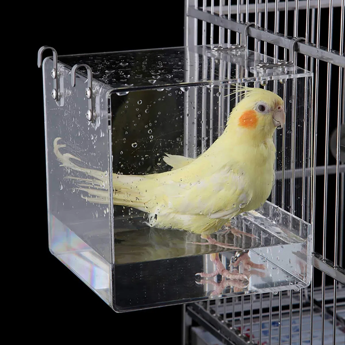 Gabbia da bagno per uccelli, per la pulizia degli animali domestici, vasca da bagno per calopsitta, con ganci per appendere pappagalli, spaziosi parrocchetti, doccia portatile per la maggior parte